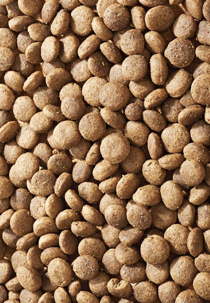 Salmon Pack Mini 2 Salmon Pack Mini – Bild 2