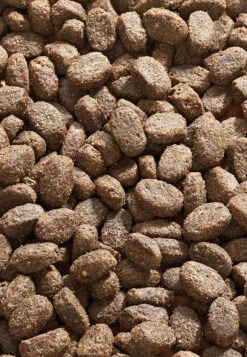 Sensitive Diet Kaninchen 5 Sensitive Diet Kaninchen -SPORTHUND Verkäufe 1810 2