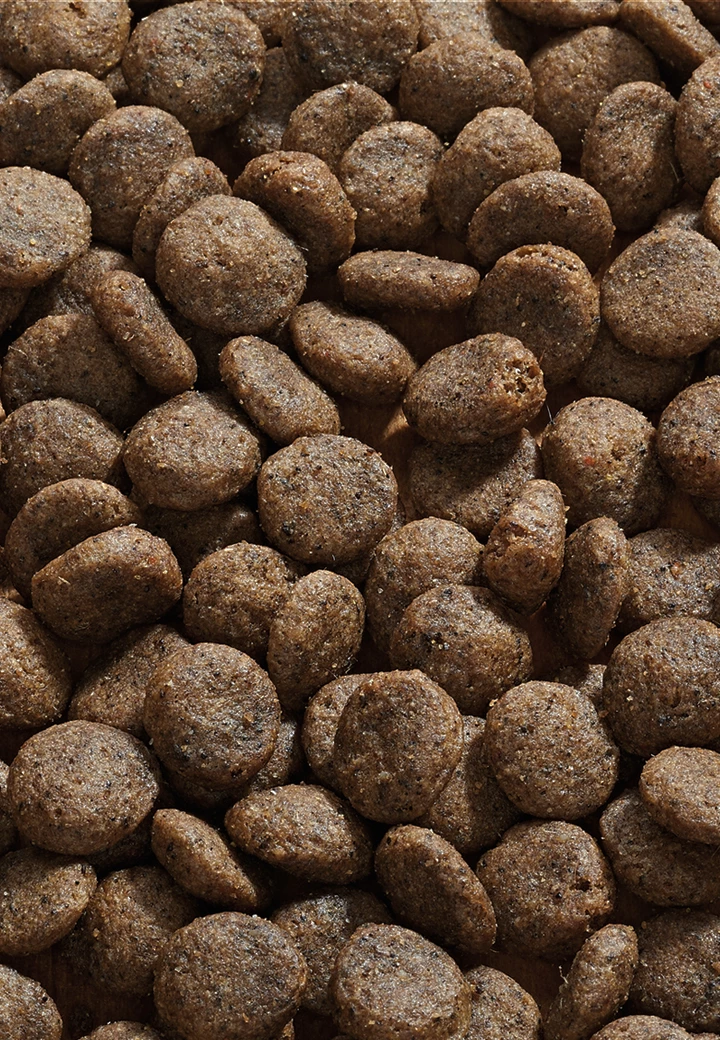 Sensitive Diet Hirsch 2 Sensitive Diet Hirsch – Bild 2