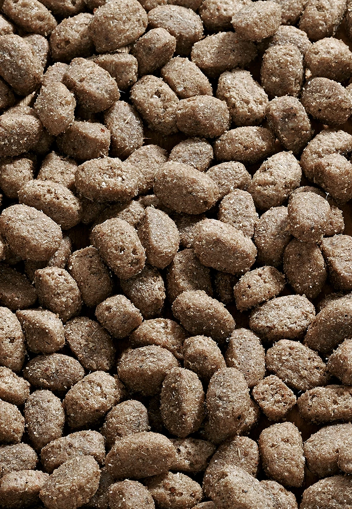 Lamb Pack 2 Lamb Pack – Bild 2