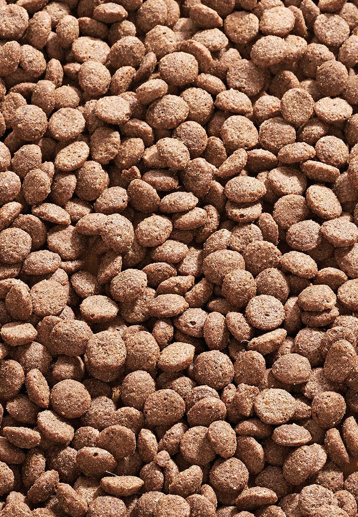 Cat Care Sensitive 2 Cat Care Sensitive – Bild 2