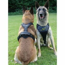 Hundeführgeschirr Follow SPORT 5 Hundeführgeschirr Follow SPORT -SPORTHUND Verkäufe 7017048m07follow sport gr l schwarz anwendungsbild 7017050 7017048 7017049 7017051