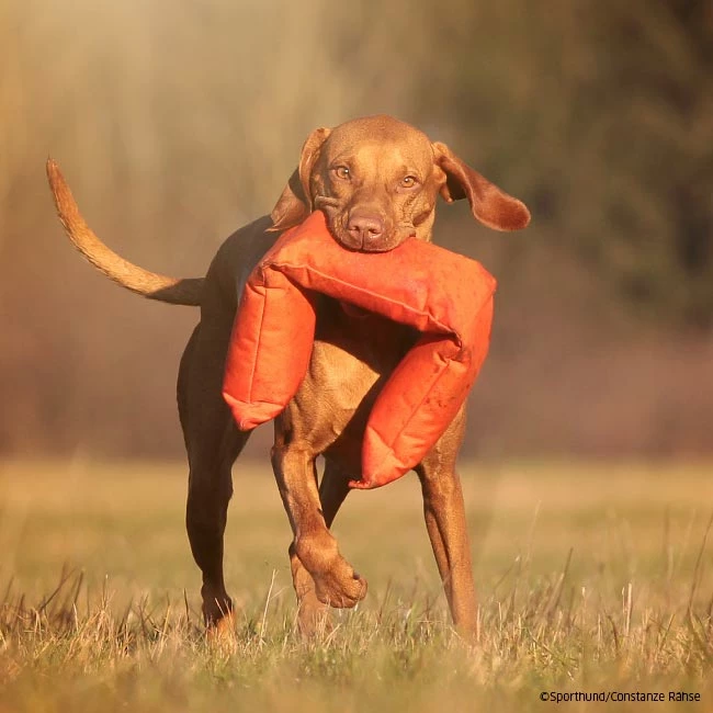 Mystique 3-teiliger Dummy Orange 2 Mystique 3-teiliger Dummy Orange – Bild 2