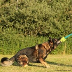 MOPIK HULA 8 MOPIK HULA -SPORTHUND Verkäufe 702132606mopik hula blau gruen p4dc8322 7021326i3VKbhQ8D9lQh