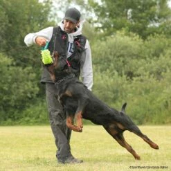 MOPIK HULA 10 MOPIK HULA -SPORTHUND Verkäufe 7021326071mopik hula blau gruen p4dc6235 7021326PooQwwpWHZlBB