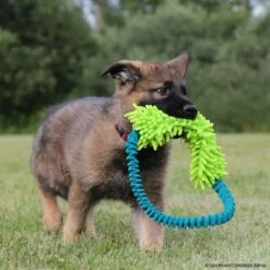 MOPIK HULA 11 MOPIK HULA -SPORTHUND Verkäufe 7021326074mopik hula blau gruen crt 7369 7021326