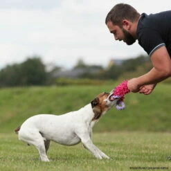 MOPIK HULA 9 MOPIK HULA -SPORTHUND Verkäufe 702132607mopik hula lila pink p4dc3013 7021326SyEtfpj2FGMYV