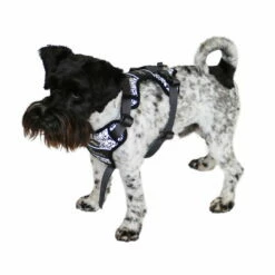 Hunter Hundegeschirr Divo Reflect 9 Hunter Hundegeschirr Divo Reflect -SPORTHUND Verkäufe 7021931m072hunter geschirr divo reflect anwendung zwergschnauzer 7021932