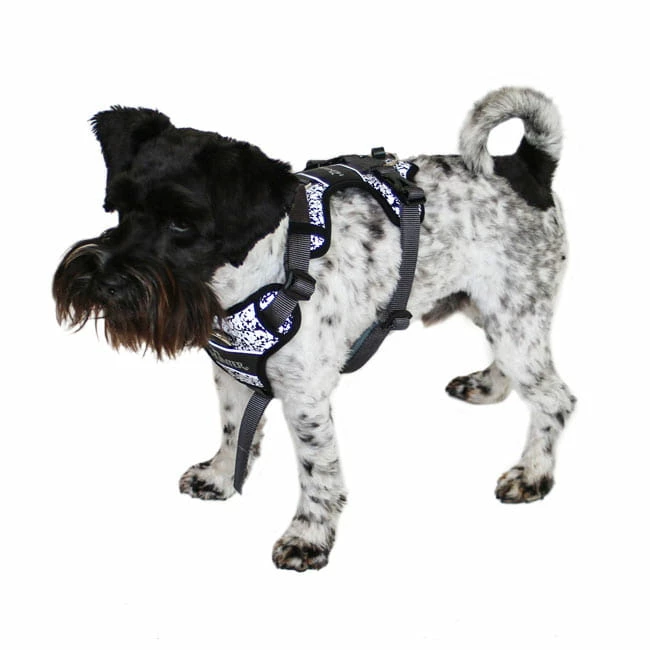 Hunter Hundegeschirr Divo Reflect 5 Hunter Hundegeschirr Divo Reflect – Bild 5