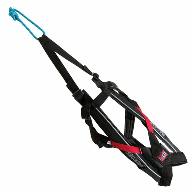 Non-Stop Dogwear Freemotion Harness Zuggeschirr 2 Non-Stop Dogwear Freemotion Harness Zuggeschirr – Bild 2