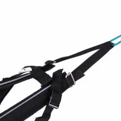 Non-Stop Dogwear Freemotion Harness Zuggeschirr 7 Non-Stop Dogwear Freemotion Harness Zuggeschirr -SPORTHUND Verkäufe 702210107freemotion harness detail2 7022101