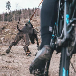 Non-Stop Protector Bootie -SPORTHUND Verkäufe 702212307non stop protector bootie anwendung2 7022123