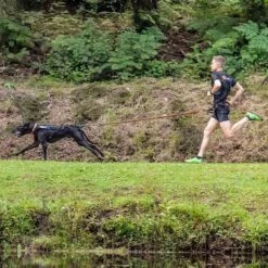 Non-Stop Dogwear Bungee Leash 2m 6 Non-Stop Dogwear Bungee Leash 2m -SPORTHUND Verkäufe 702212507non stop dogware bungee leash anwendung 7022125