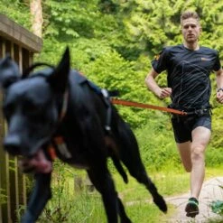 Non-Stop Dogwear Bungee Leash 2,8m -SPORTHUND Verkäufe 702212607non stop dogware bungee leash anwendung3 7022125