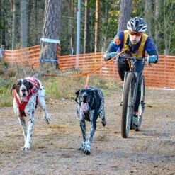 Non-Stop Dogwear Bungee Leash Double -SPORTHUND Verkäufe 7022127071bungee leash pro double anwendung2 7022127