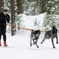 Non-Stop Dogwear Bungee Leash Double -SPORTHUND Verkäufe 702212707bungee leash pro double anwendung 7022127