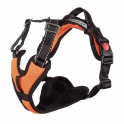 Sledwork Mountain Pro Harness -SPORTHUND Verkäufe 7023026071sledwork mountain pro harness neonorange 7023025mw90qMAaRV2dvQ