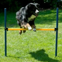 Agility Einsteigerset Hürden, Slalom, Box -SPORTHUND Verkäufe 7030366071agility huerden und slalomset huerde 70303661HNfOi42XjrCr