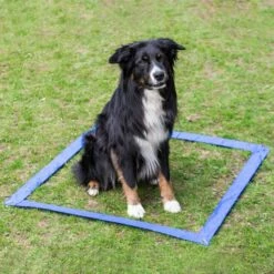 Agility Einsteigerset Hürden, Slalom, Box -SPORTHUND Verkäufe 703036607agility huerden und slalomset box 7030366UPjg1xeCiHuqH