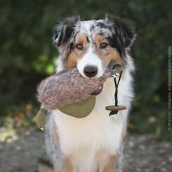 Duck Dummy Mit Fell -SPORTHUND Verkäufe 703038707duck dummy mit fell anwendung 7030387ooBMlC0Ele4bg