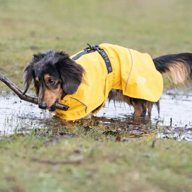 SPORTHUND Verkäufe -SPORTHUND Verkäufe 7226410m07rukka pets hayton eco raincoat anwendung2 7226410m
