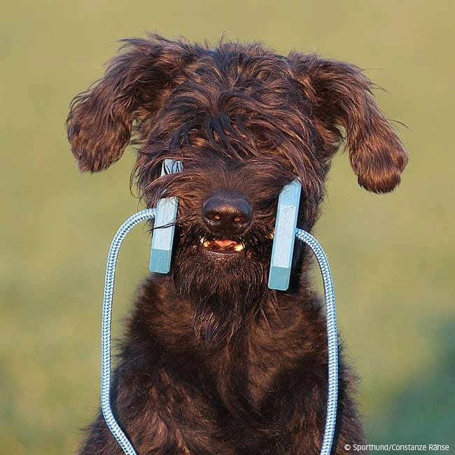 Obedience Holz-Apportel Mit Seil 4 Obedience Holz-Apportel Mit Seil – Bild 4