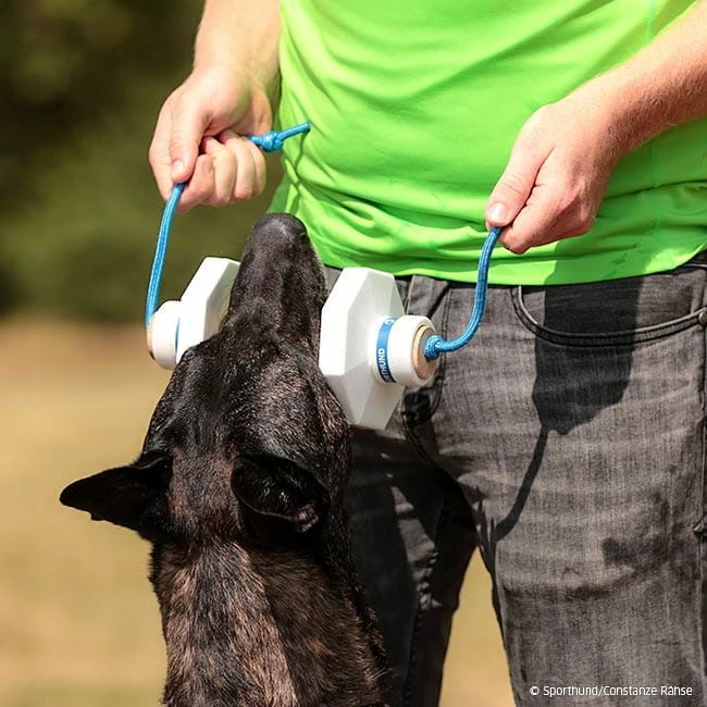 Sporthund IGP-Apportierholz 650g Vario 2 Sporthund IGP-Apportierholz 650g Vario – Bild 2