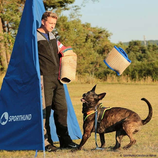 Sporthund Technikkissen Midas 5 Sporthund Technikkissen Midas – Bild 5