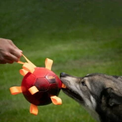 Dog Comets Hypernova -SPORTHUND Verkäufe 7265140m06dog comets hypernova anwendung 7265140m