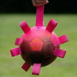 Dog Comets Hypernova -SPORTHUND Verkäufe 7265140m07dog comets hypernova anwendung2 7265140m