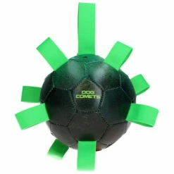 Dog Comets Hypernova