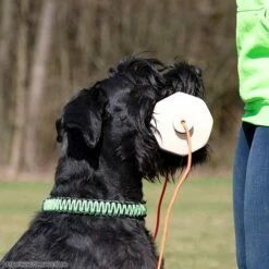 Sporthund IGP-Apportierholz 650g Havatar -SPORTHUND Verkäufe 7281406071knutfuchs havatar 7281406 schnauzeruYs0WsOvYbDKM