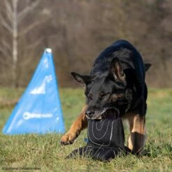 Sporthund Triple Star Kissen 7 Sporthund Triple Star Kissen -SPORTHUND Verkäufe 7334208071sporthund triplestarkissen 7334208 dshUN5K3a3eMNTtD