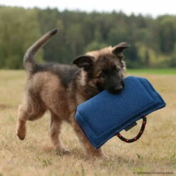 Sporthund Welpen Hohlbeißkissen -SPORTHUND Verkäufe 733421707welpenkissen 7334217 dshTZbxLWm5548Xs