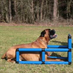 Sporthund Q-Box -SPORTHUND Verkäufe 73572100737357210 sporthund q box platz neu05AtVEl4JKtrI