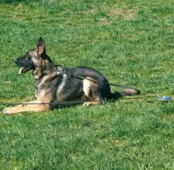 Sprenger Auslauf-Block -SPORTHUND Verkäufe 7410930 570sPq5JJvLHqO