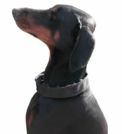 Verkleidung Für 3,2mm Stachelhalsbänder -SPORTHUND Verkäufe 7423550sbb