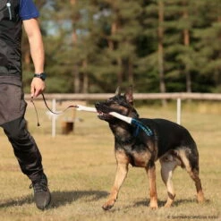 Beißwurst-Peitsche -SPORTHUND Verkäufe 742410507sporthund beisswurst peitsche 7424105 dsh 1