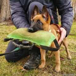 FreshLine Beißkissen -SPORTHUND Verkäufe 742501507freshline beisskissen 7425015c4XJMnWoXYbFh