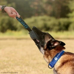 Sporthund Plüschwürfel -SPORTHUND Verkäufe 7425086071sporthund pluschwurfel 7425086 malinois 2fqLdJfkwQ6ytu