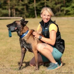 Sporthund Plüschwürfel -SPORTHUND Verkäufe 742508607sporthund pluschwurfel 7425086 malinois 1N5anUFzZbBm40