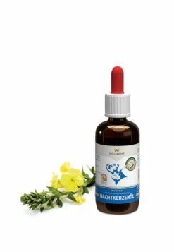 Nachtkerzenöl, 50ml