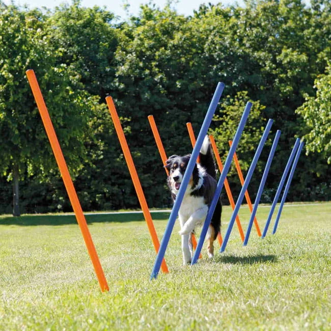 Trixie Fun Agility Slalom 2 Trixie Fun Agility Slalom – Bild 2