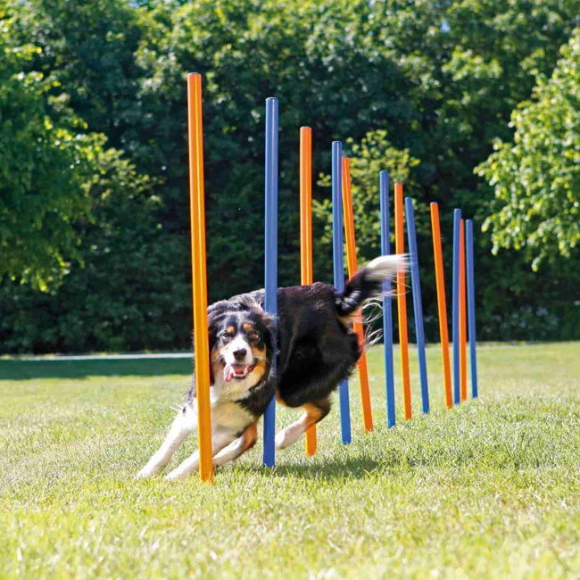 Trixie Fun Agility Slalom 3 Trixie Fun Agility Slalom – Bild 3