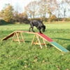 Trixie Agility Steg