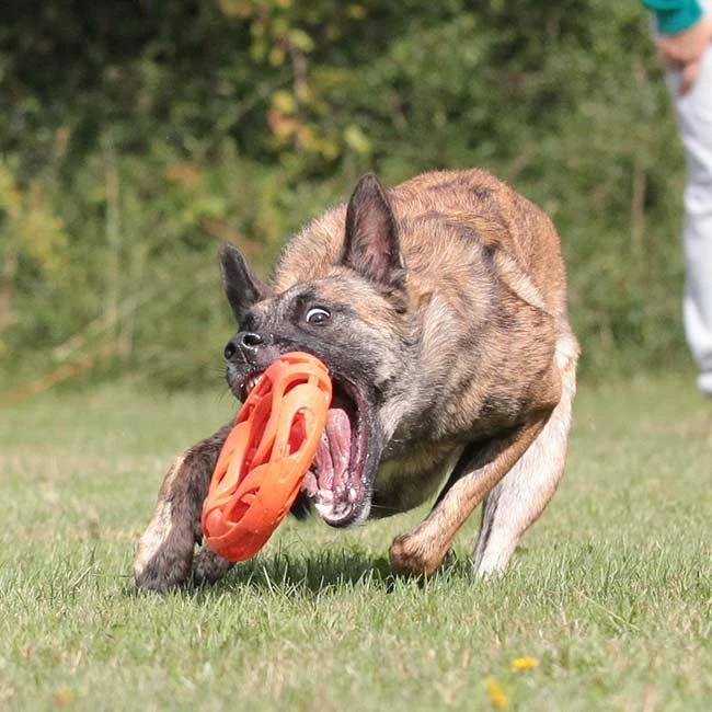 Chuckit Breathe Right Fetch Wheel 2 Chuckit Breathe Right Fetch Wheel – Bild 2