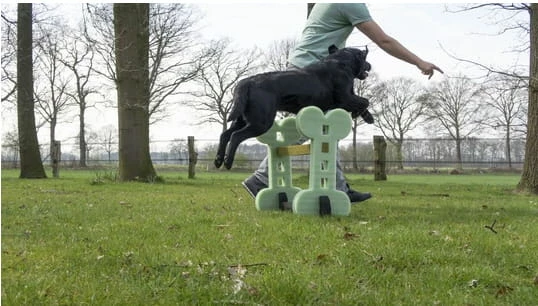 Soft Agility Set 2 Soft Agility Set – Bild 2