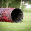 Dogsworld Agility Tunnel 5,5 M