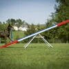 Dogsworld Agility Wippe Mit Tartanbelag