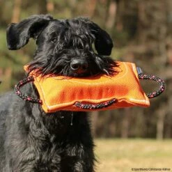 FreshLine Keilförmiges Beißkissen Nylcot -SPORTHUND Verkäufe freshline keilfoermigesbeisskissen p4dc5288 7425065yM2F6JYXoW0zq